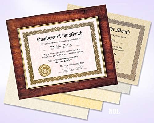 NextParch 8-1/2" x 11" (Letter Size) 65 lb. Parchment Cover Card Stock (Champagne)