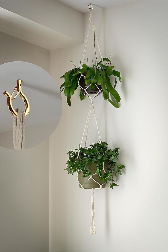 PlusRoc 20 Pack Q-Hanger String Light Hooks - Gold Cup Hooks for Hanging Lights, Plants; Screw in Ceiling & Wall Mount