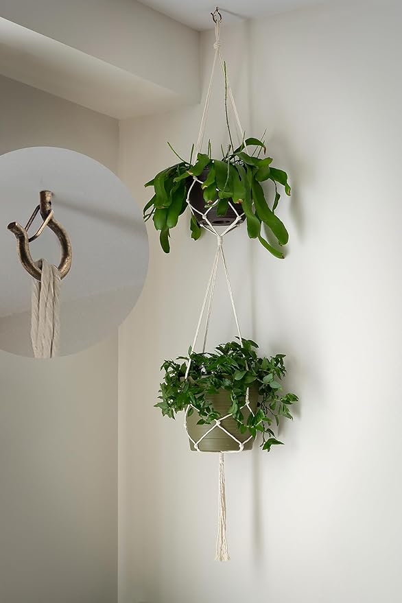 PlusRoc 20 Pack Q-Hanger String Light Hooks for Haning Lights Plants, 2.2 Inch Bronze Cup Hooks Screw in Ceiling Hooks Eye Hook, Wall Mount Ceiling Mount