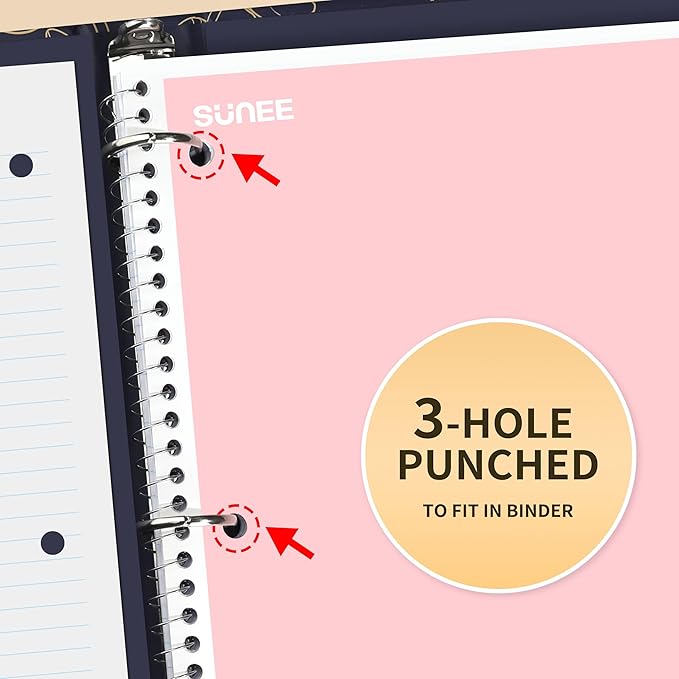 SUNEE Spiral Notebooks College Ruled, 1-Subject, 4 Pack, 8 x 10-1/2 in, 70 Sheets, 3-Hole Punched Paper, Pastel Pink, Purple, Blue, Green for School, Home & Office, Writing Journal