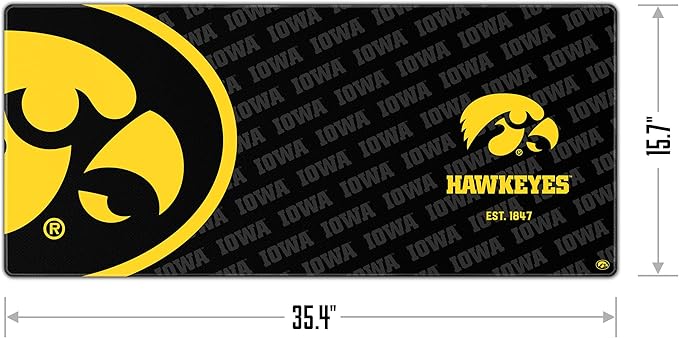 YouTheFan NCAA Iowa Hawkeyes Logo Series Desk Pad