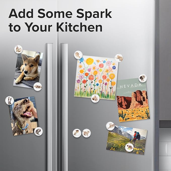 Super Cute Fridge & Locker Magnets – 12 Glass Magnets with Vibrant Colors – Strong Hold for Photos, Notes, Recipes – Aesthetic Refrigerator Decoration - Perfect for School & College Locker