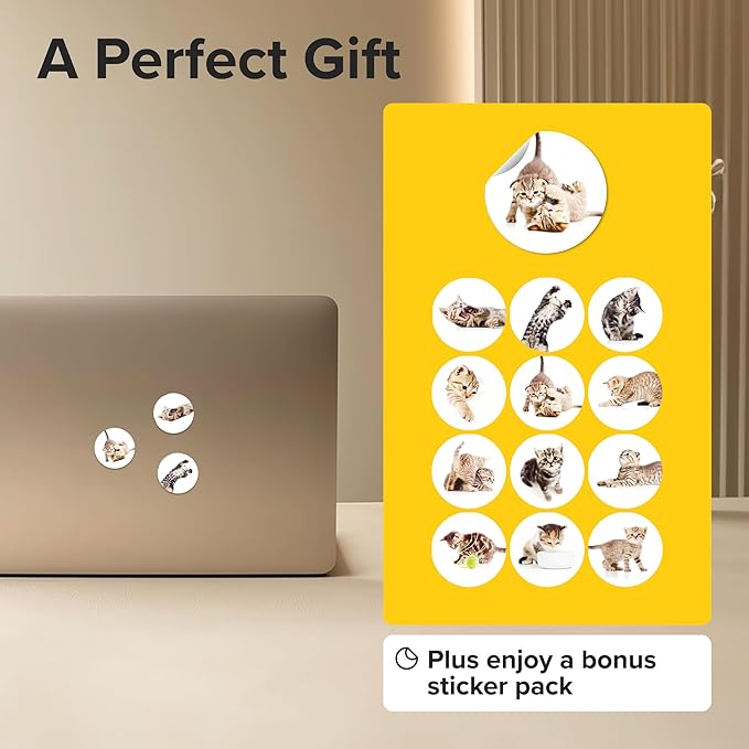 Super Cute Fridge & Locker Magnets – 12 Glass Magnets with Vibrant Colors – Strong Hold for Photos, Notes, Recipes – Aesthetic Refrigerator Decoration - Perfect for School & College Locker