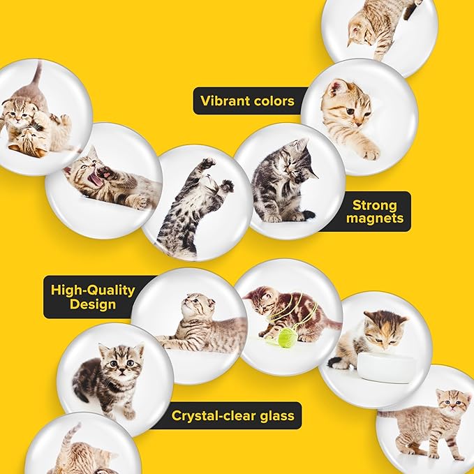 Super Cute Fridge & Locker Magnets – 12 Glass Magnets with Vibrant Colors – Strong Hold for Photos, Notes, Recipes – Aesthetic Refrigerator Decoration - Perfect for School & College Locker