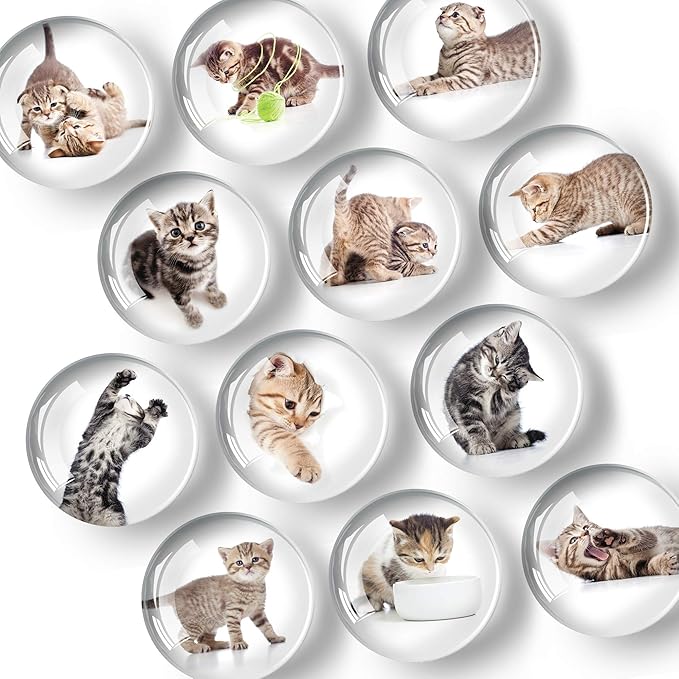 Super Cute Fridge & Locker Magnets – 12 Glass Magnets with Vibrant Colors – Strong Hold for Photos, Notes, Recipes – Aesthetic Refrigerator Decoration - Perfect for School & College Locker
