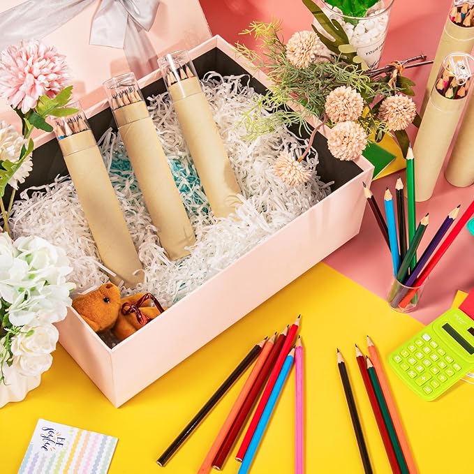 48 Pack 576pcs #2 HB Pencils Bulk in Tube with Sharpener Assorted Colors Wood-cased Pre-sharpened Pencils for Kids Student Back to School Supplies Classroom Prize Party Favor Gifts (Wooden)