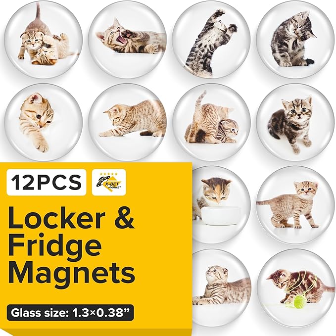 Super Cute Fridge & Locker Magnets – 12 Glass Magnets with Vibrant Colors – Strong Hold for Photos, Notes, Recipes – Aesthetic Refrigerator Decoration - Perfect for School & College Locker