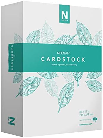 Neenah Vellum Bristol Cardstock, Lightweight, 2 Packs of 325 Sheets/650 Sheets, 67 lb/147 gsm, 94 Brightness, 8.5" x 11" - MORE SHEETS! (91633-01)