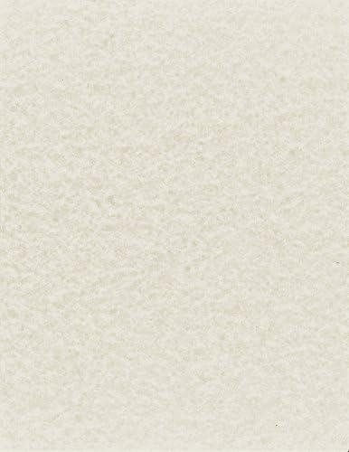 NextDayLabels - Pack of 50 Sheets - 8-1/2" x 11" (Letter Size) 65 lb. Parchment Cover Card Stock (Gray Smoke)