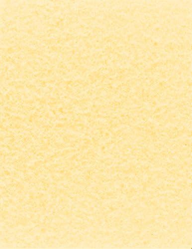 NextParch 8-1/2" x 11" (Letter Size) 65 lb. Parchment Cover Card Stock (Champagne)