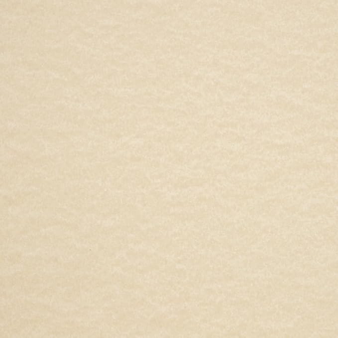 LUXPaper 8.5" x 11" Cardstock | Letter Size | Cream Parchment | 65lb. Cover (120lb. Text) | 1,000 Qty