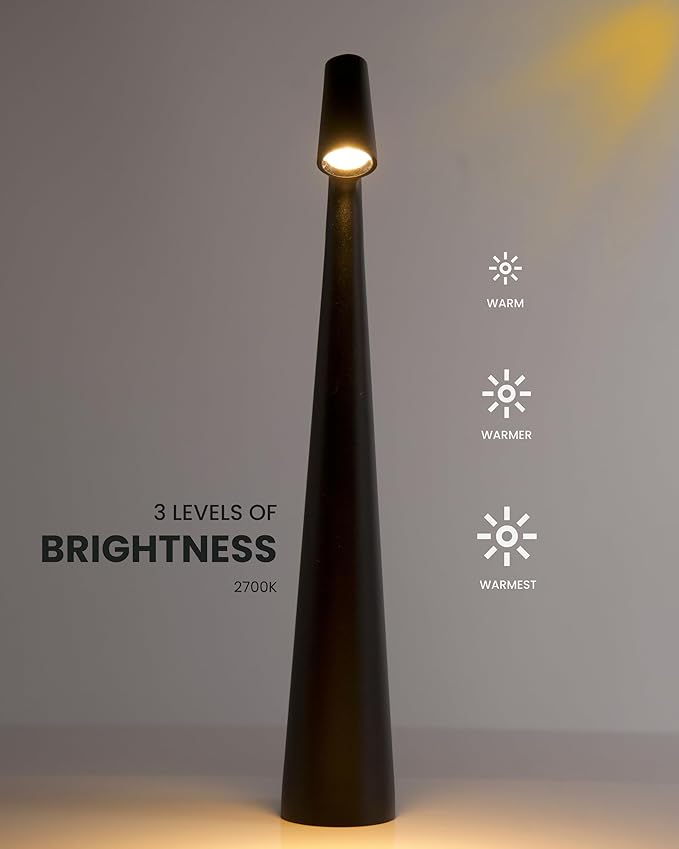 Generic NOCABLESINSIGHT Desk lamp, USB Rechargeable, 3 Brightness Levels, Touch Control, for Desk, highlighting Items. Color Black, Small