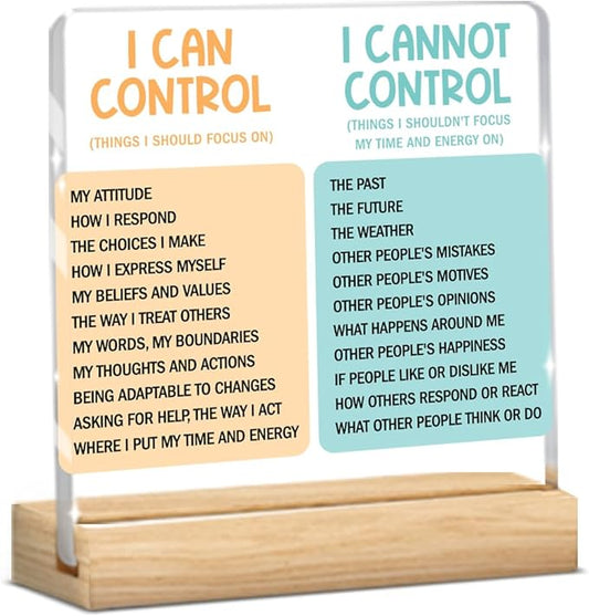 Motivational Office Acrylic Sign,Things I Can't Control Office Decor Sign, Thank You Gifts for Woman Friends Nurse Coworker Decorative Desk Accessories Table Shelf Plaque Signs Decor-01