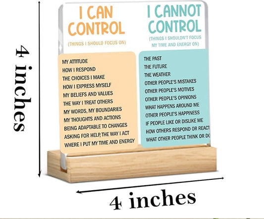 Motivational Office Acrylic Sign,Things I Can't Control Office Decor Sign, Thank You Gifts for Woman Friends Nurse Coworker Decorative Desk Accessories Table Shelf Plaque Signs Decor-01