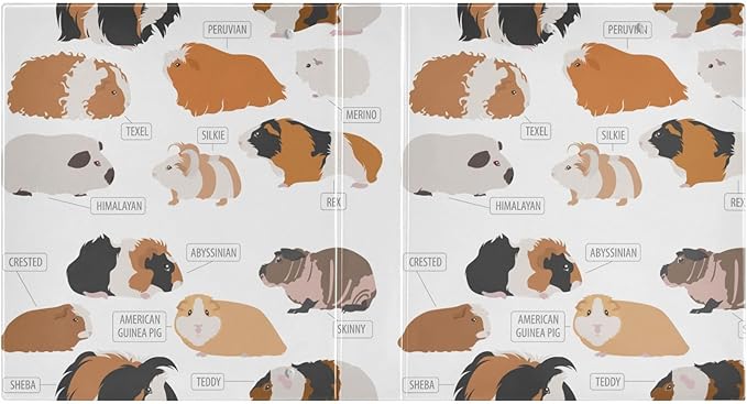 Hand Drawn Animal Guinea Pig Decorative 3 Ring Binder 2 Inch Large View Binders with Pockets File Organizer for Office College School, 1Pack