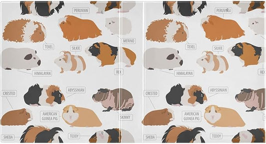 Hand Drawn Animal Guinea Pig Decorative 3 Ring Binder 2 Inch Large View Binders with Pockets File Organizer for Office College School, 1Pack