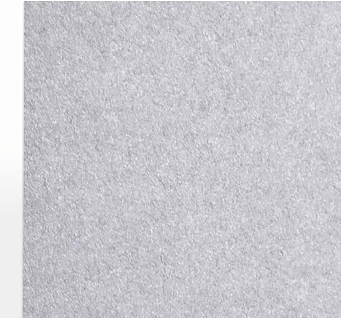 LUXPaper 8.5" x 11" Cardstock | Letter Size | Silver Metallic | 105lb. Cover (192lb. Text) | 50 Qty