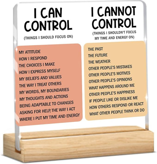 Motivational Office Acrylic Sign,Things I Can't Control Office Decor Sign, Thank You Gifts for Woman Friends Nurse Coworker Decorative Desk Accessories Table Shelf Plaque Signs Decor-02