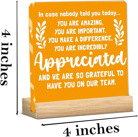 Reminder Quotes Acrylic Decor Sign, Inspirational Gifts for Women, Thank You Gifts for Woman Coworker Friends Decorative Sign for Shelf Desk Tabletop Cubicle Accessories Decor