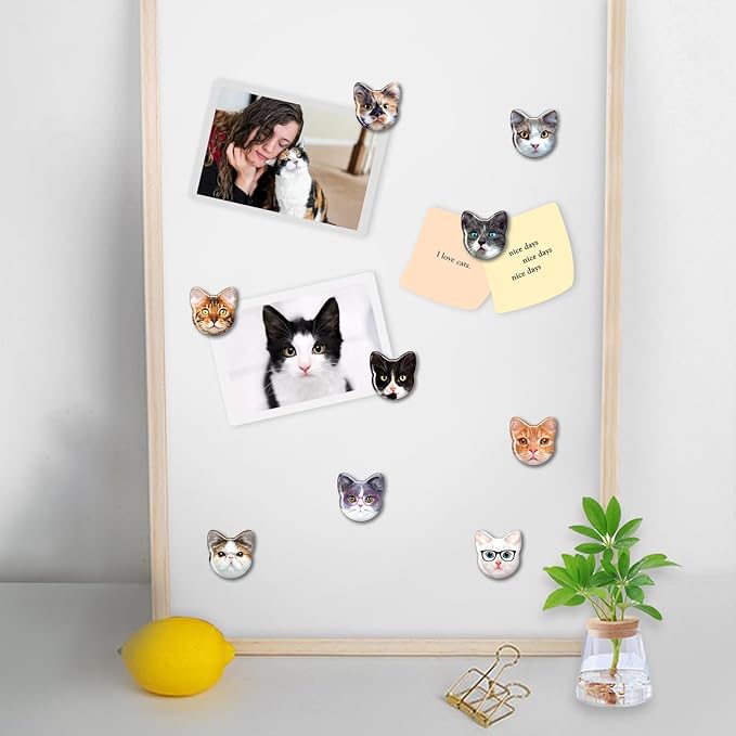 MORCART Cat Magnets for Fridge, Cute Magnets for Refrigerator Locker Whiteboard Decorative Magnetic Board Cabinets Classroom Office Cubicle School Gift for Adult 30PCS