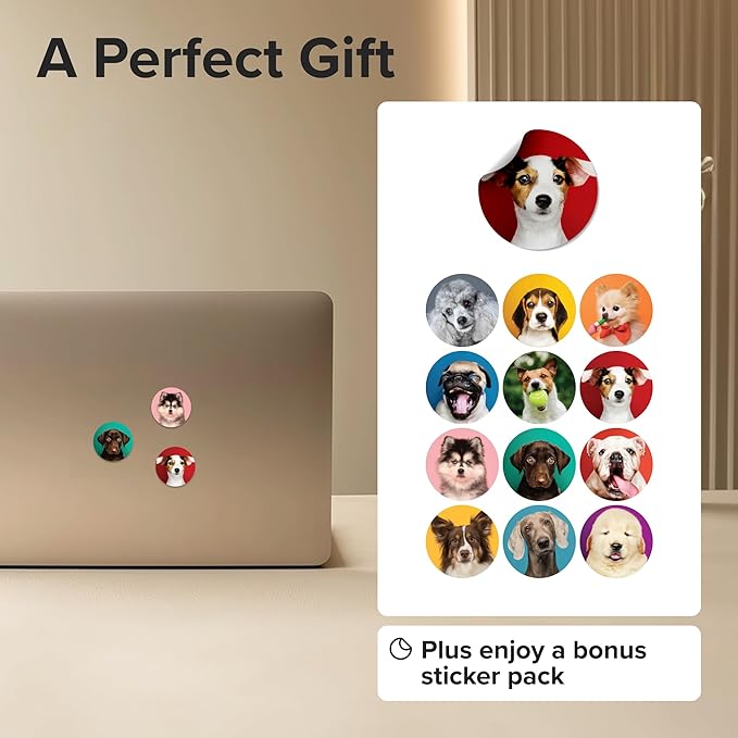 Super Cute Fridge & Locker Magnets – 12 Glass Magnets with Vibrant Colors – Strong Hold for Photos, Notes, Recipes – Aesthetic Refrigerator Decoration - Perfect for School & College Locker