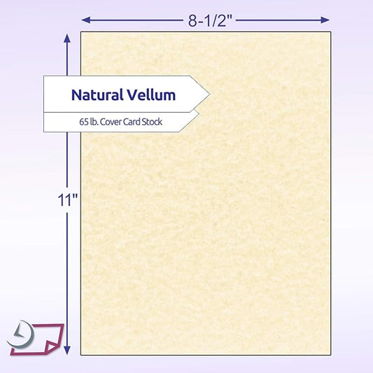 NextDayLabels - Pack of 50 Sheets - 8-1/2" x 11" (Letter Size) 65 lb. Parchment Cover Card Stock (Natural)