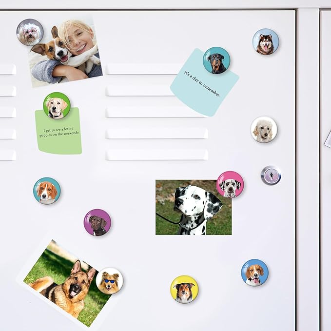 MORCART Cat Magnets for Fridge, Cute Magnets for Refrigerator Locker Whiteboard Decorative Magnetic Board Cabinets Classroom Office Cubicle School Gift for Adult 30PCS
