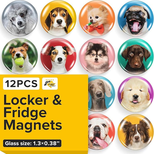 Super Cute Fridge & Locker Magnets – 12 Glass Magnets with Vibrant Colors – Strong Hold for Photos, Notes, Recipes – Aesthetic Refrigerator Decoration - Perfect for School & College Locker