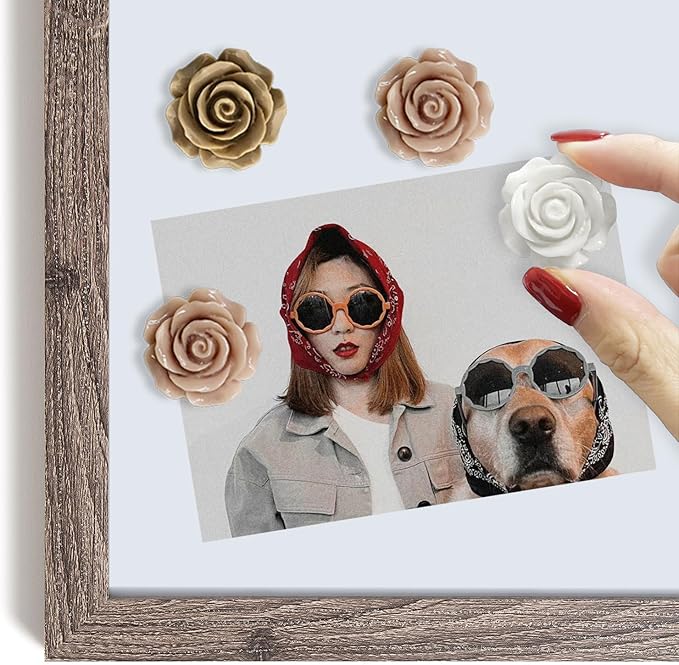 15 pcs - Cute Flower Magnets - Rose Magnets for Office Whiteboard, Locker & Decoration (15 pcs - Rose - caffee)