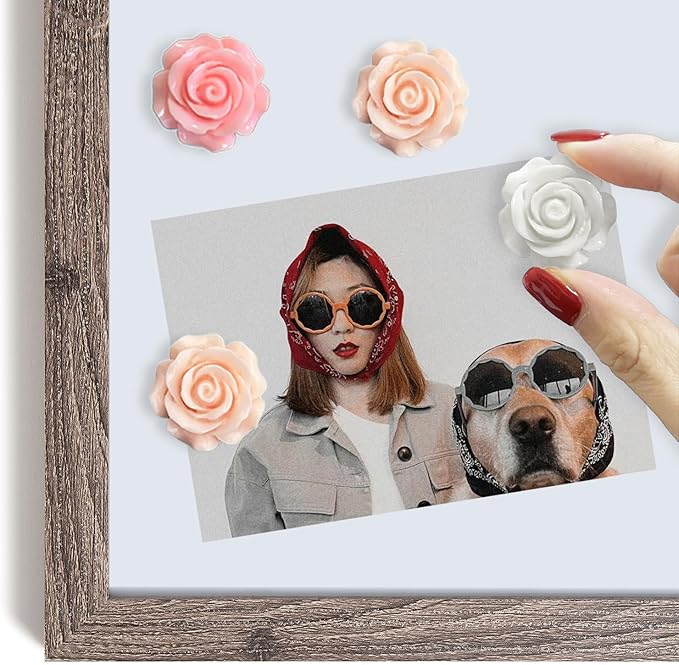 15 pcs - Cute Flower Magnets - Pink Rose Magnets for Office Whiteboard, Locker & Decoration(15 pcs - Rose - Pink)