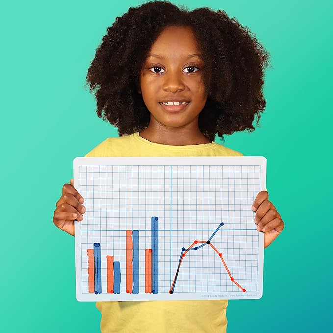Flipside X/Y Axis/Plain Dry Erase Board