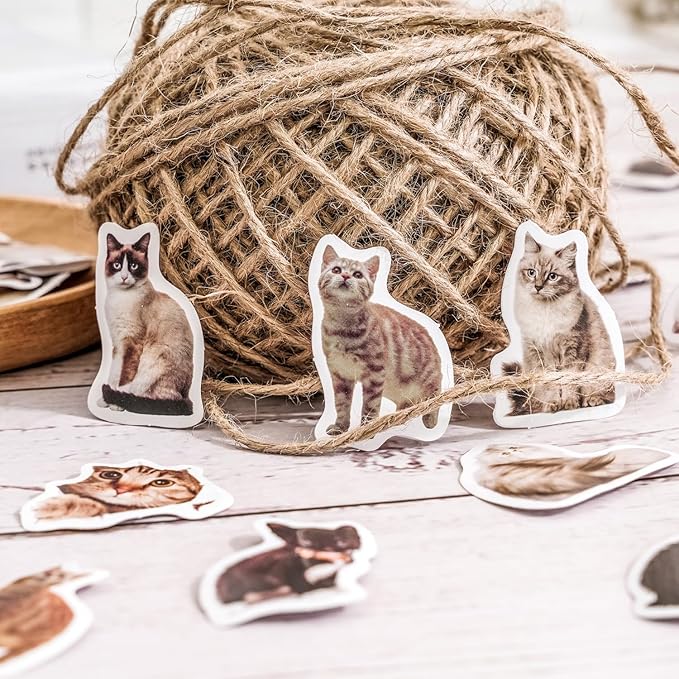 45 Pcs Small Cat Stickers for Scrapbook Kids Bullet Journal Notebook Planner Diary Collage Envelope Letter Laptop Water Case Bottle Phone DIY Craft Decoration