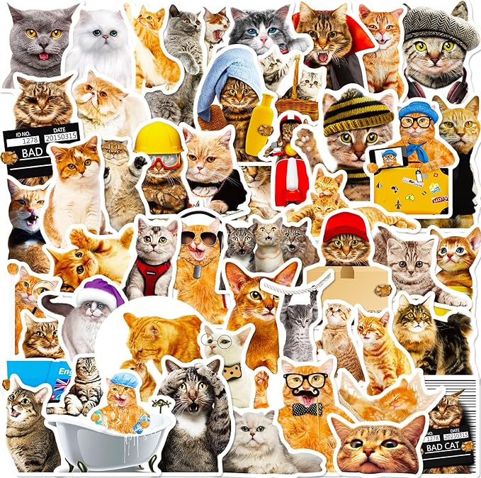 100 PCS Cute Cat Stickers for Kids, Funny Kitten Stickers for Journaling Laptop Scrapbook Water Bottles Guitar Skateboard, Decals for Teens Adults Kids Gift (Cat)